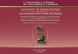 Anatomy of Bone System. Students' Workbook on Anatomy of bone system / Анатомия костной системы. Рабочая тетрадь по анатомии костной системы. Учебное пособие для самостоятельной работы