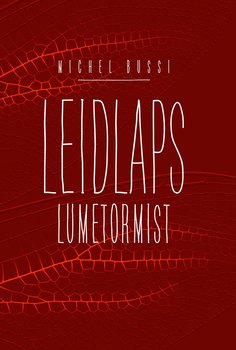 Leidlaps lumetormist