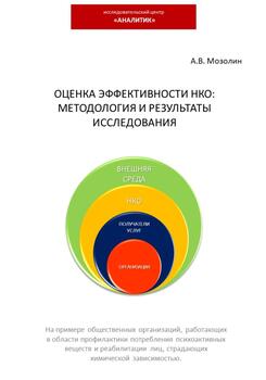 Оценка эффективности НКО: методология и результаты исследования