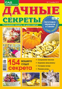 Дачные секреты №11/2019