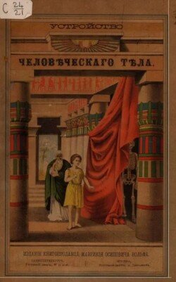 Строение человеческого тела