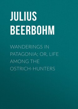 Wanderings in Patagonia; Or, Life Among the Ostrich-Hunters