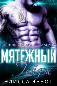 Бунтарь Гейдж 
