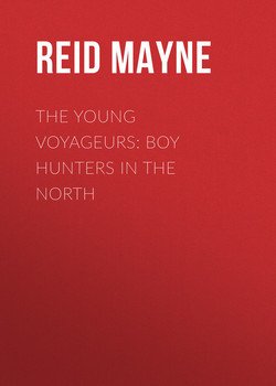 The Young Voyageurs: Boy Hunters in the North