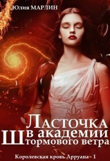 Ласточка в Академии Штормового ветра