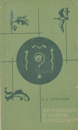 Вторжение в тайны невидимок