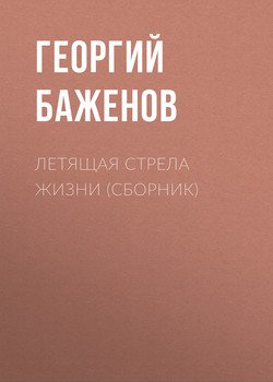 Летящая стрела жизни 